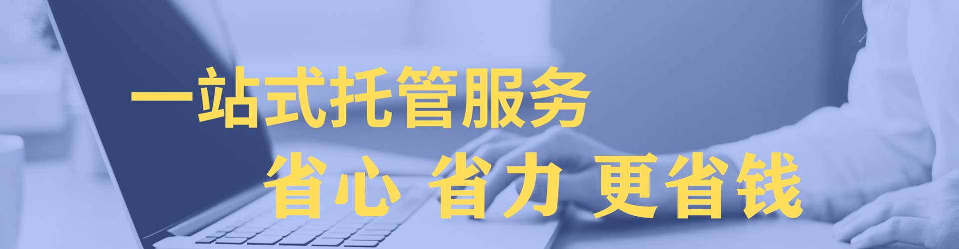 海棠百度竞价推广